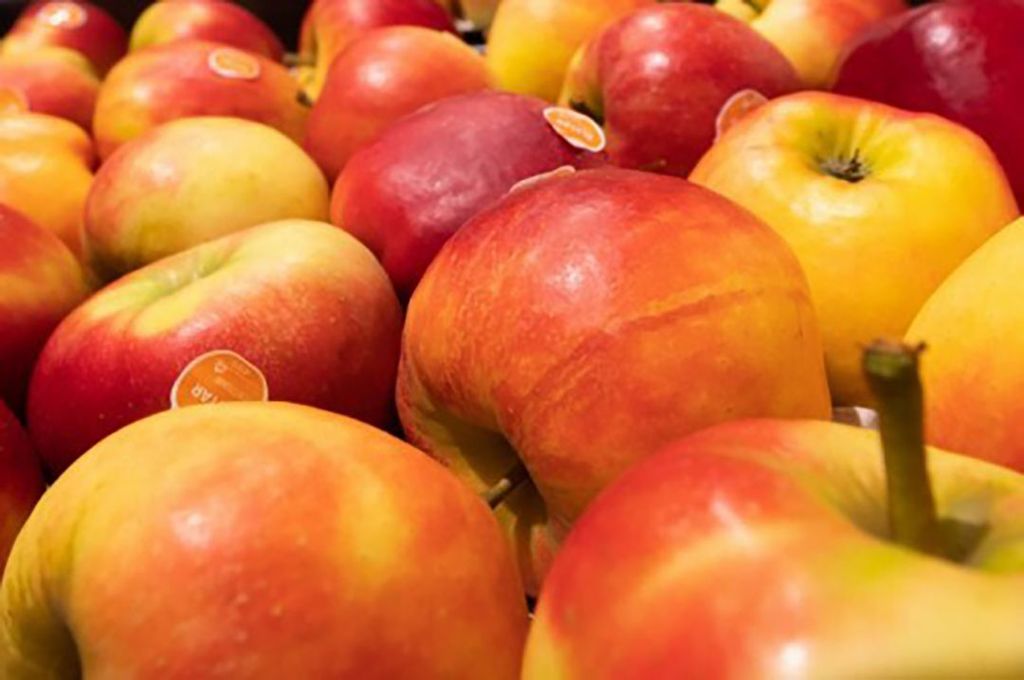 Sprank-appels na de oogst. Foto: AH