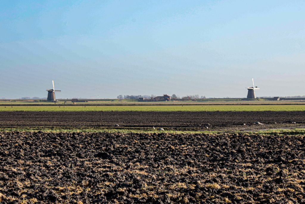 Sinds dinsdag 15 oktober kunnen bedrijven de definitieve aanvraag doen voor de GLB-subsidies. Foto: Marcel Rob Fotografie