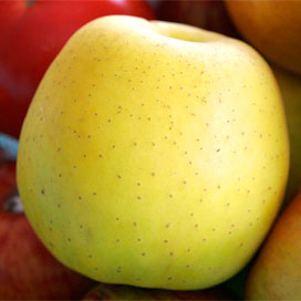 Franse Golden Delicious