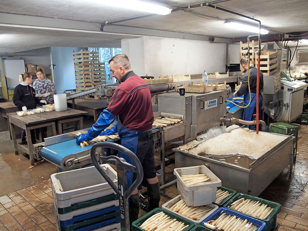 Veilige werkvloer gaat over meer dan technische veiligheid. - Foto: Stan Verstegen