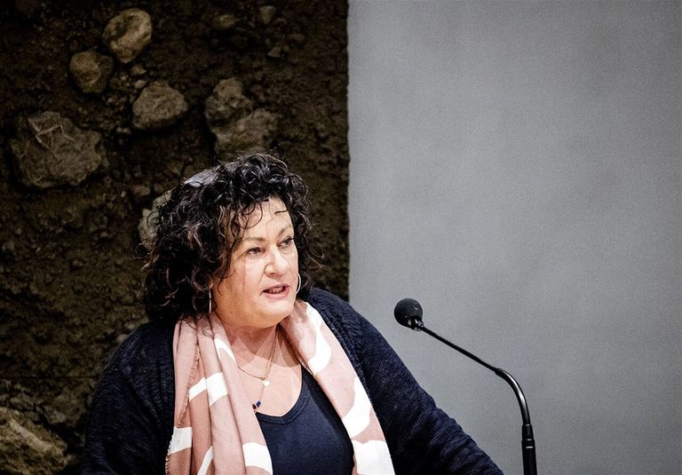 Caroline van der Plas van de BoerBurgerBeweging wil een motie indienen waarin het ministerie wordt gevraagd niet langer te sturen op de Kritische Depositie Waarden. - Foto: ANP