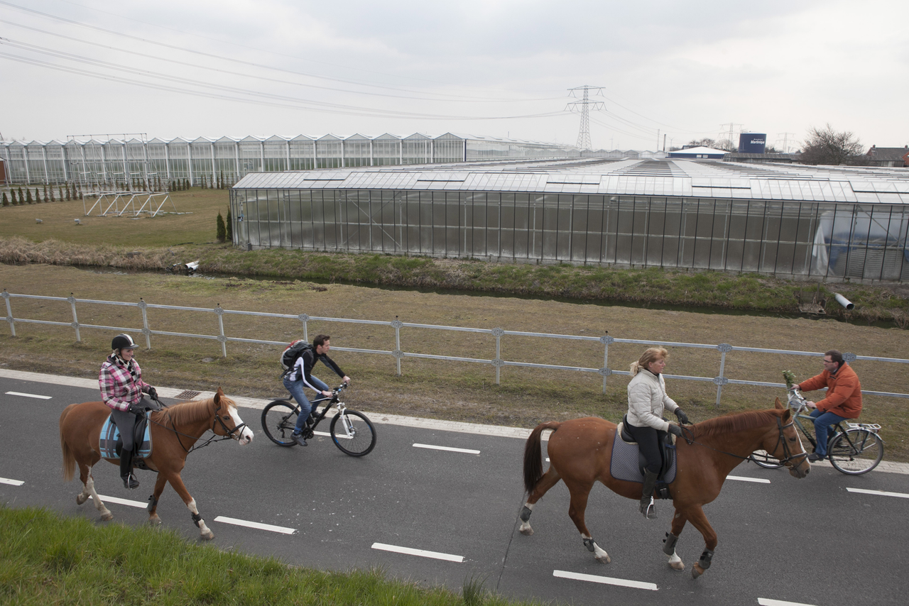 Foto: Roel Dijkstra