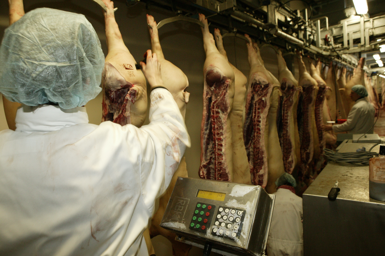 &apos;Hogere groenteconsumptie zorgt niet voor krimp dierhouderij&apos;