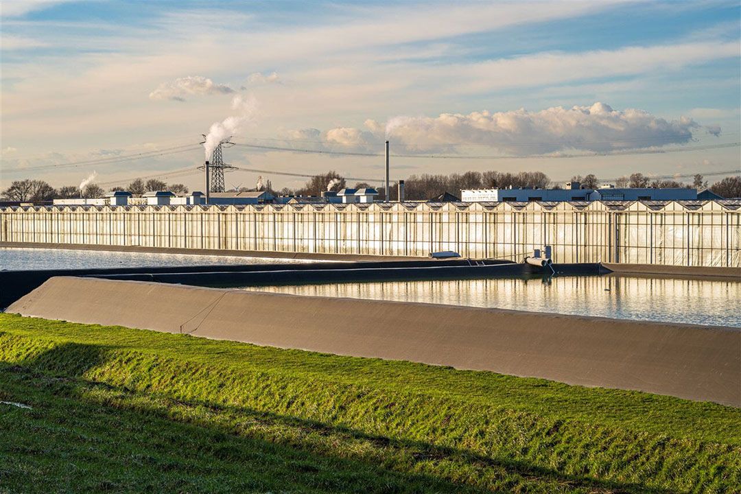 Glastuinders gaan de energietransitie al vanaf 2025 in de portemonnee voelen, nu het wetsvoorstel fiscale klimaatmaatregelen glastuinbouw niet controversieel is verklaard. - Foto: ANP