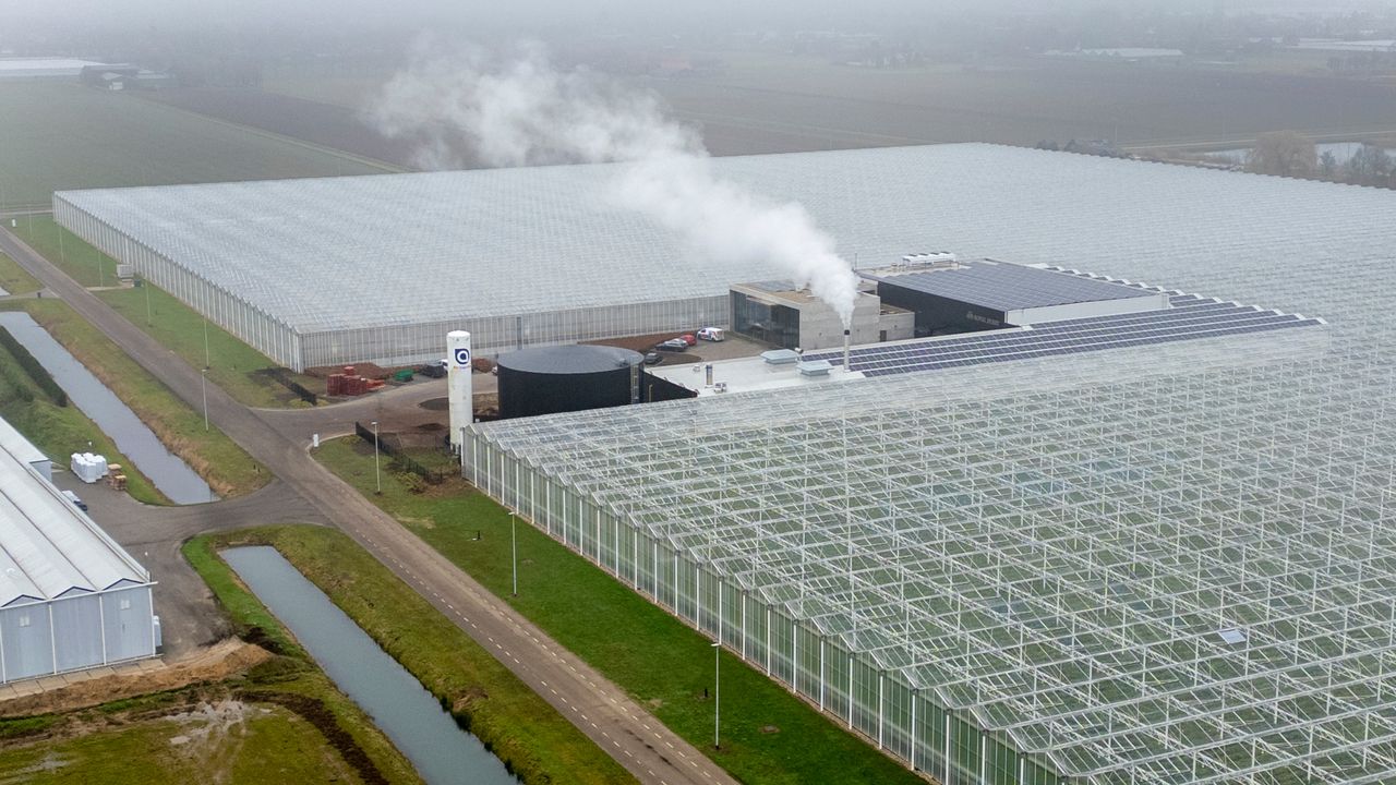 De locatie van Royal Berry in Bemmel. – Foto: Koos Groenewold