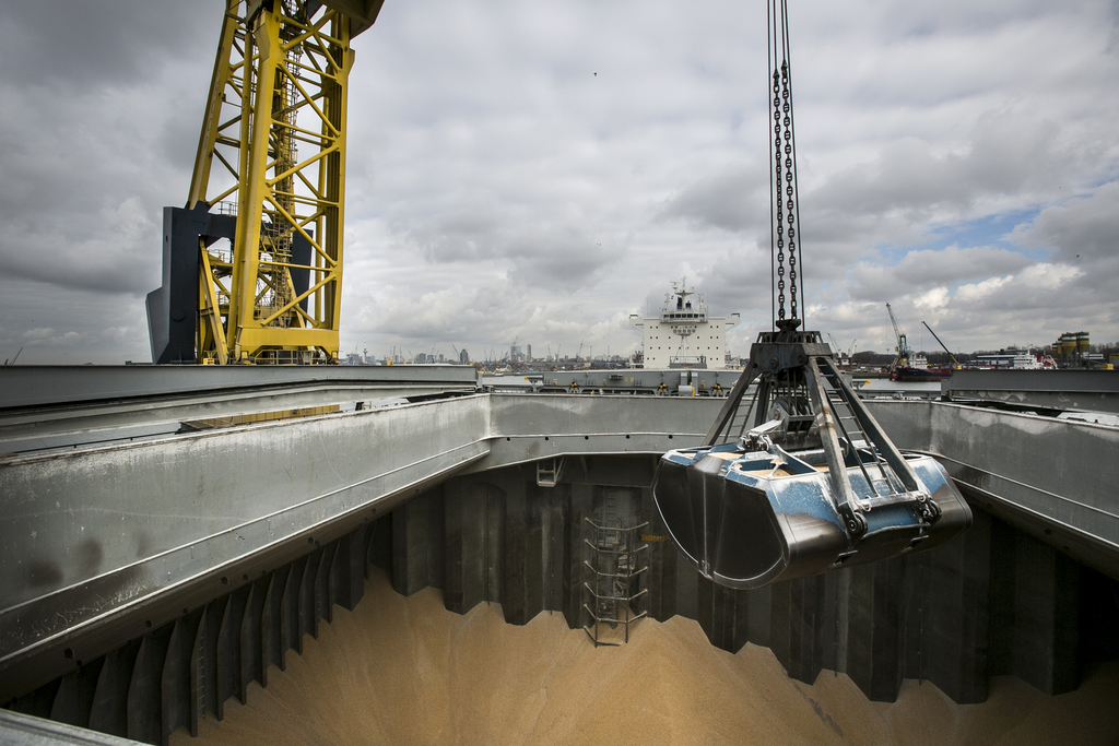 Overslag van mais in de haven van Rotterdam. <br /><em>Foto: Roel Dijkstra </em>