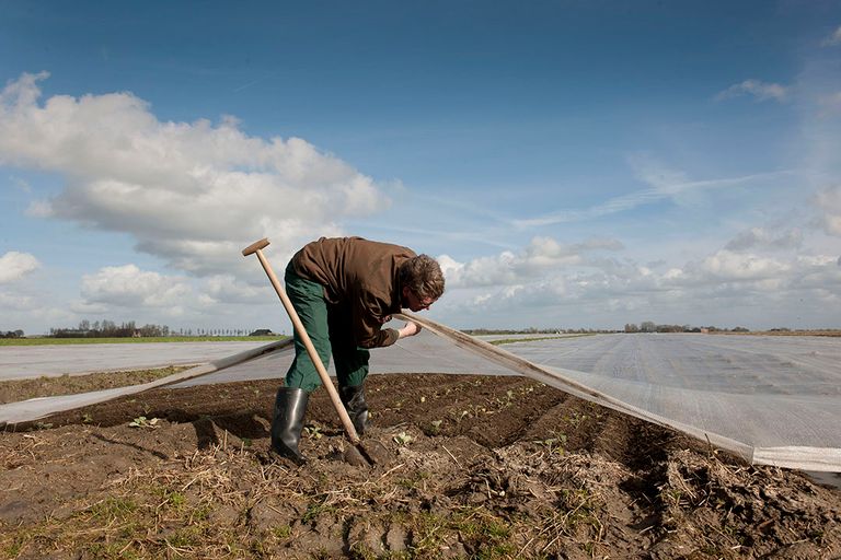 biologisch beleid WUR