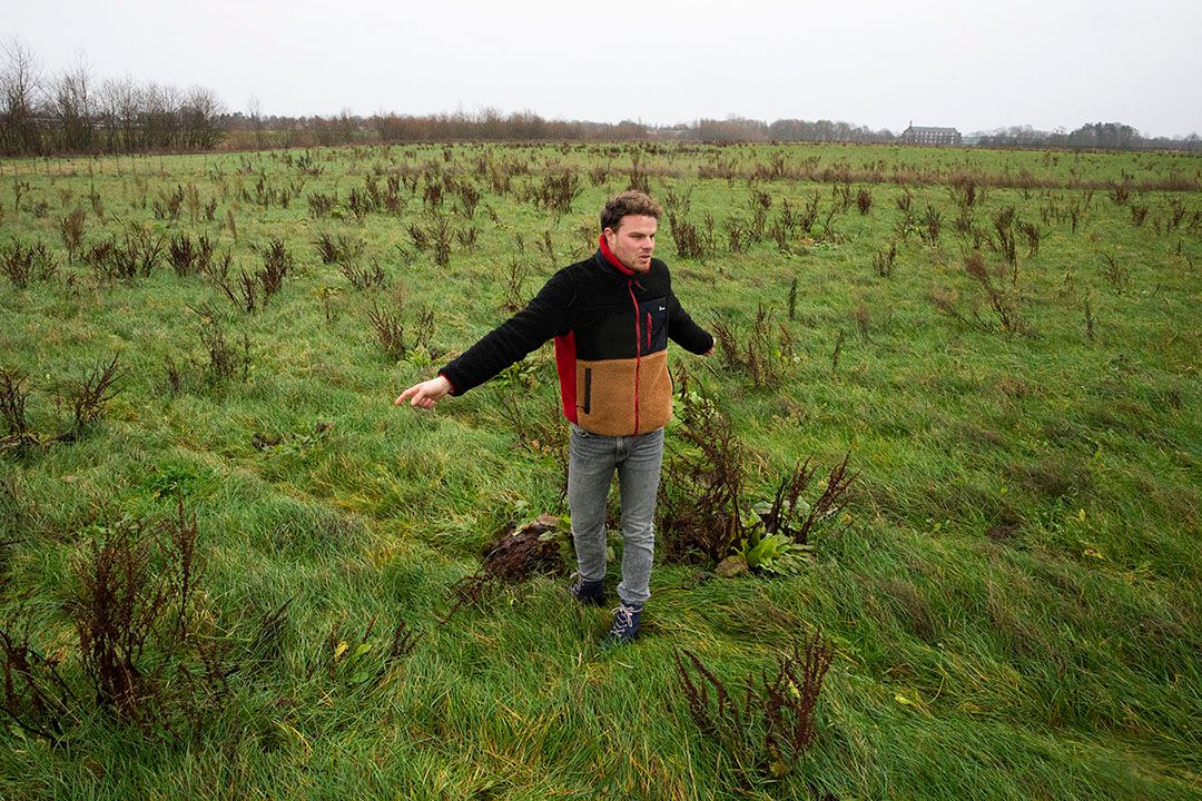 Mark Venner in zijn voedselbos. - Foto: Twan Wiermans