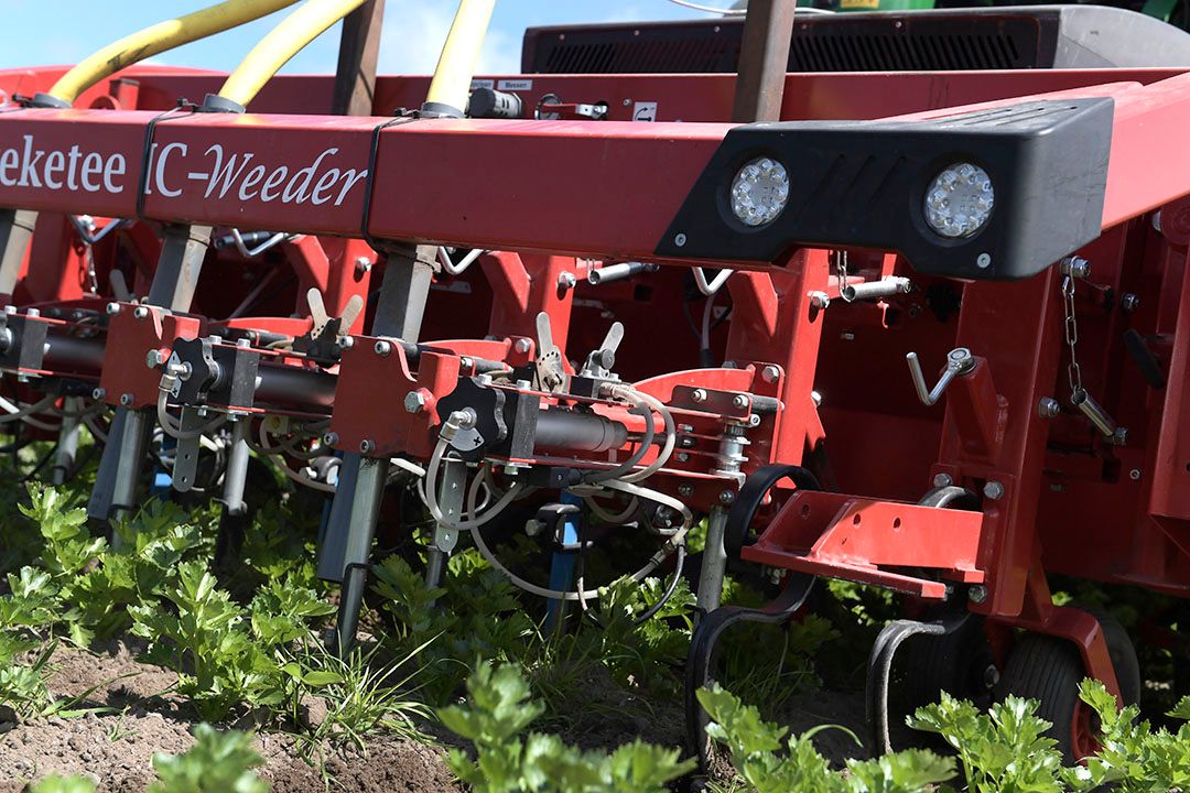 Automatische schoffelmachine van Steketee. - Foto: Cor Salverius