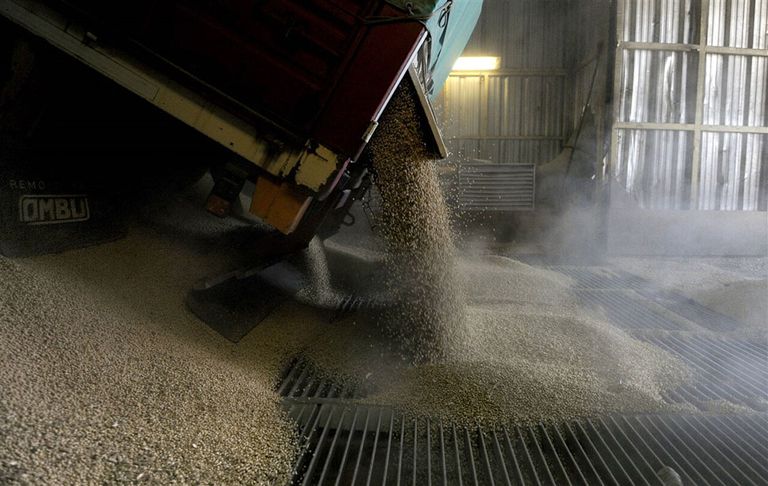 Ook bedrijven die de ruwe grondstof, zoals de sojaboon, verwerken tot meel, lopen tegen grenzen aan. - Foto: AFP