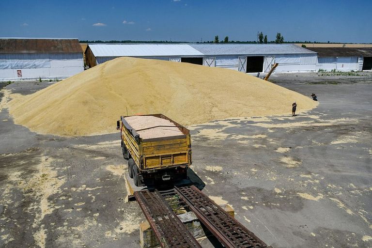 Geoogst graan ligt opgeslagen op een akkerbouwbedrijf in het zuidoosten van Oekraïne. - Foto: Ukrinform/Shutterstock