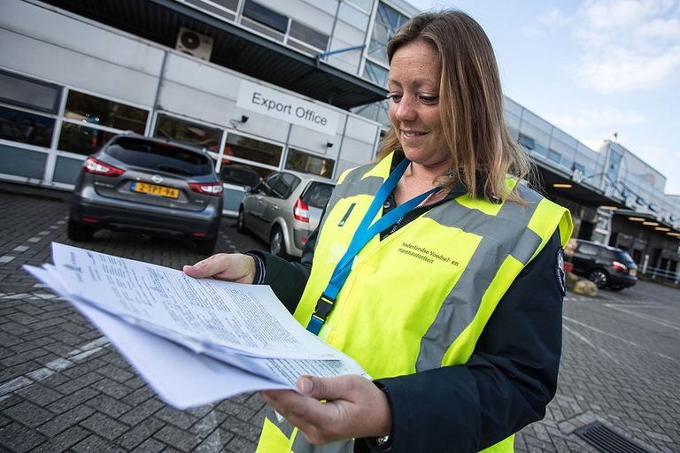 NVWA-controleur checkt de documenten van koeien die geëxporteerd worden. De voedingssector is sterk afhankelijk van import en export.- Foto: Diederik van der Laan