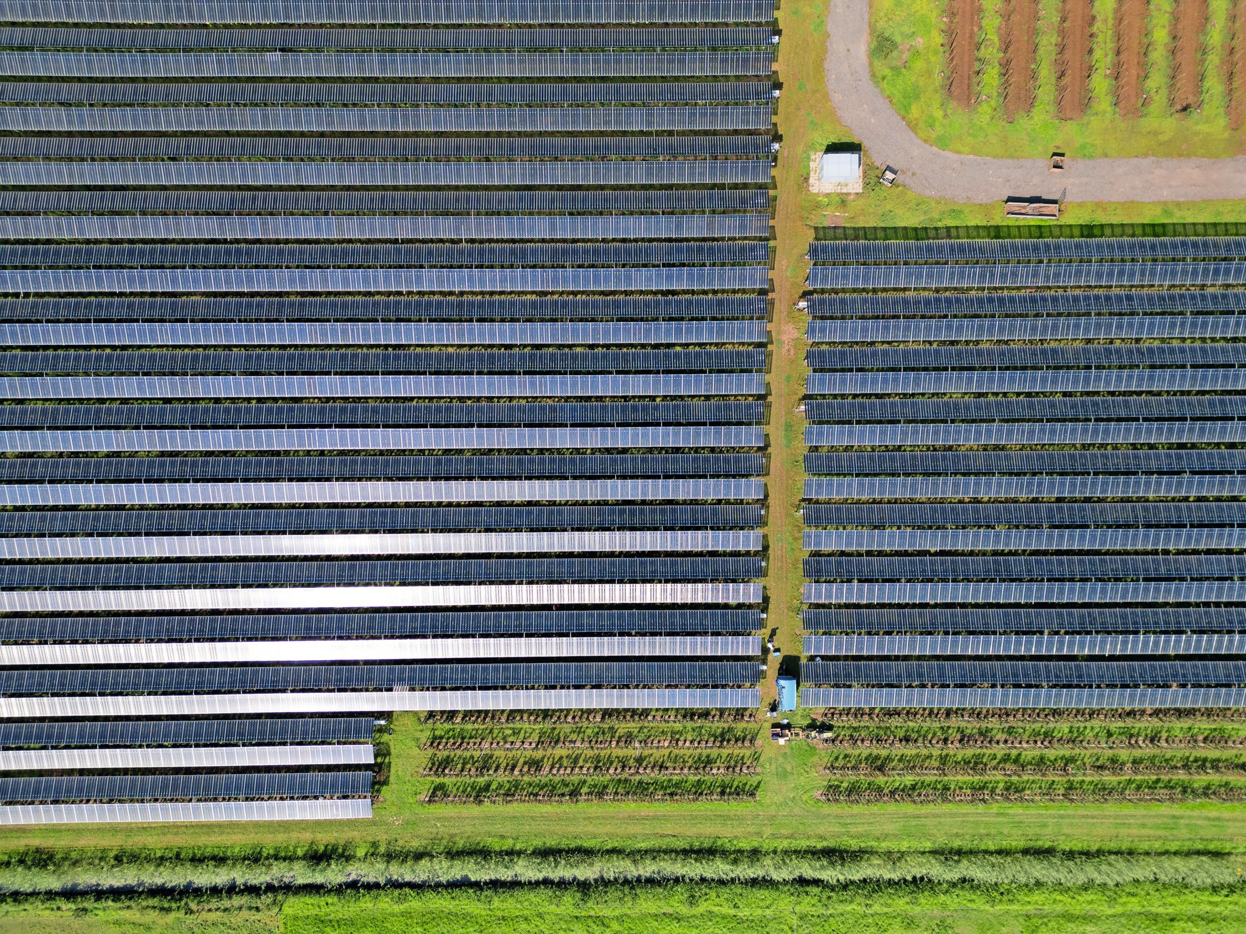 De marges voor zonnepanelen boven fruit zijn voor ontwikkelaar GroenLeven pas voor projecten vanaf 10 hectare aantrekkelijk. – Foto: Herbert Wiggerman