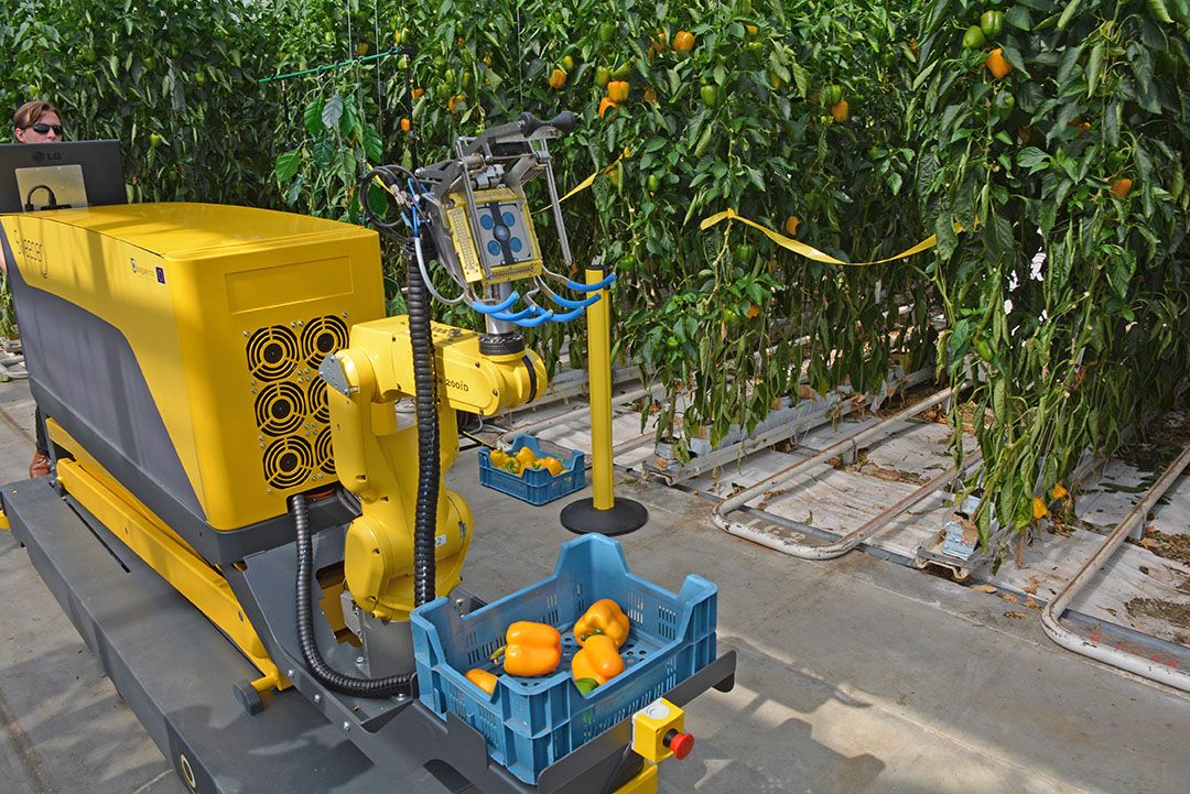 innovatieve oogstrobot