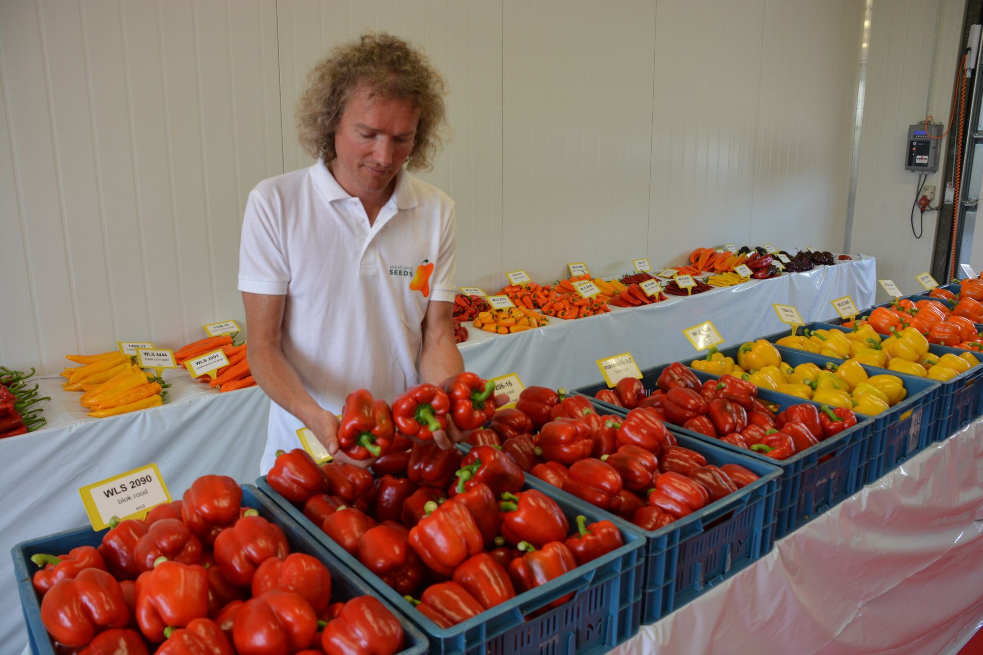Foto: Peter Visser