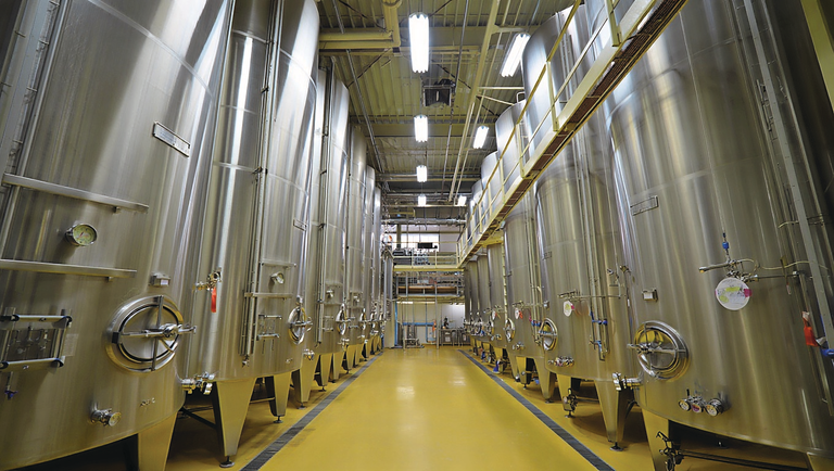 De EU wil start-ups ondersteunen in het opschalen van fermentatietechnologieën. Foto: Afbeelding met AI gegenereerd (Reve.art)