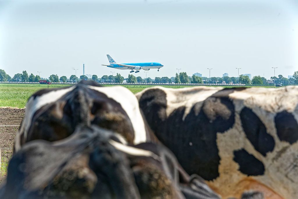 Vanuit een gebiedsgerichte aanpak maken provincies met alle partijen per gebied plannen en heeft de gehele food- en agribusiness een belangrijke rol. - Foto: Lex Salverda