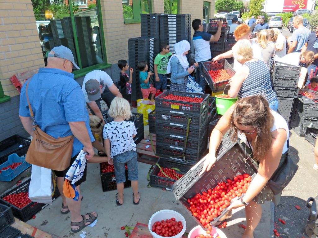 De snoeptomaatjesweggeefactie van Greenco veroorzaakte een ware run op de tomaatjes. - Foto's: Ton van der Scheer