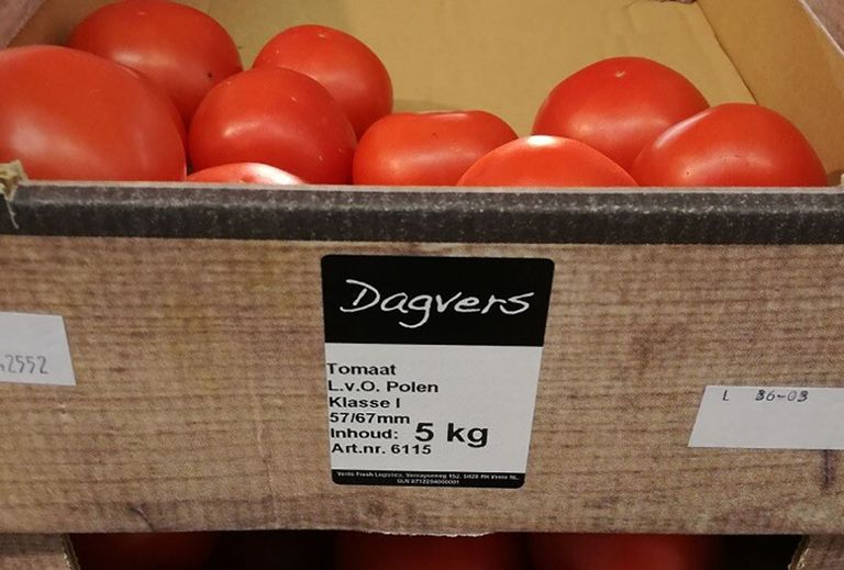 Poolse tomaten bij Aldi, voor Nederlands product moet een rood-wit-blauw vlaggetje komen. - Foto: Misset