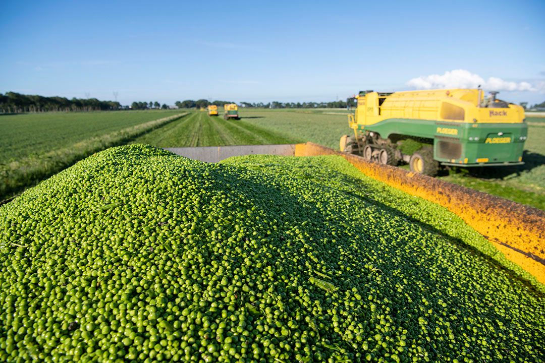 Het Biologisch Conserven Comité is in april vorig jaar ingesteld door Biohuis vanwege was het achterblijven van telersprijzen van biologische conservengroenten. - Foto: Mark Pasveer