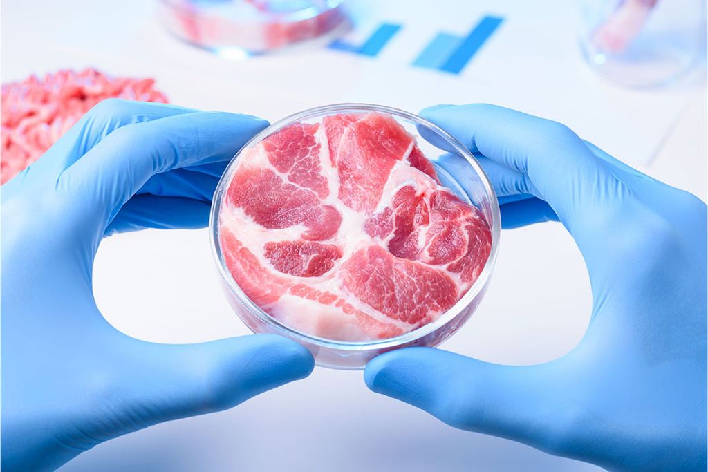 Italië zegt de eerste te zijn die kweekvlees zal verbieden. Foto: Canva