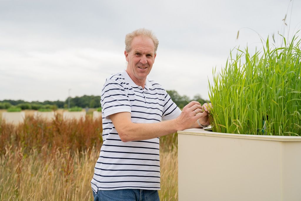 Nutriënten bodem eiwitkwaliteit