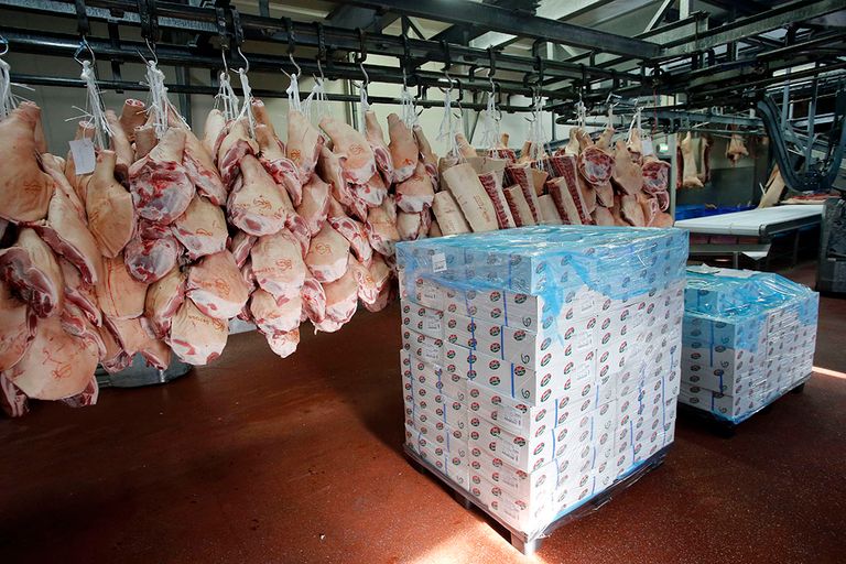 Europa is afgelopen jaar de grootste exporteur van varkensvlees geworden.