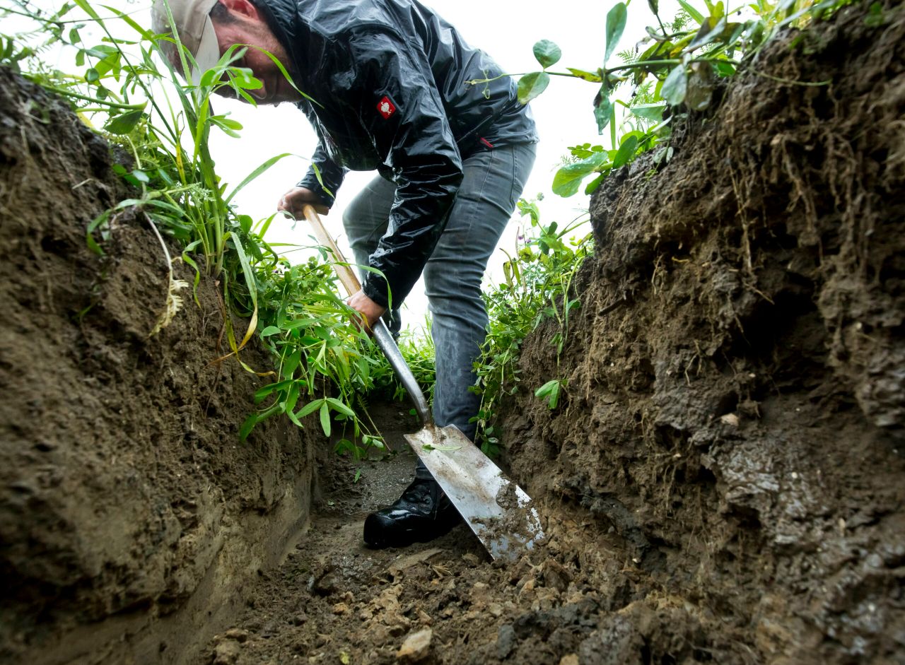 Delphy laat het effect van groenbemesters op de bodemvruchtbaarheid zien. - Foto: Ruud Ploeg