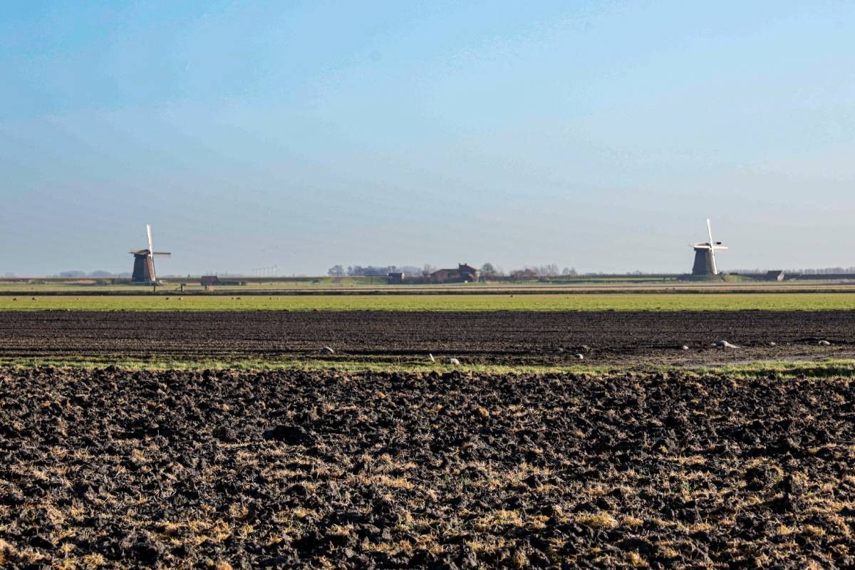 Het afschaffen van de landbouwvrijstelling kan voor groentetelers flinke gevolgen hebben. - Foto: Marcel Rob Fotografie