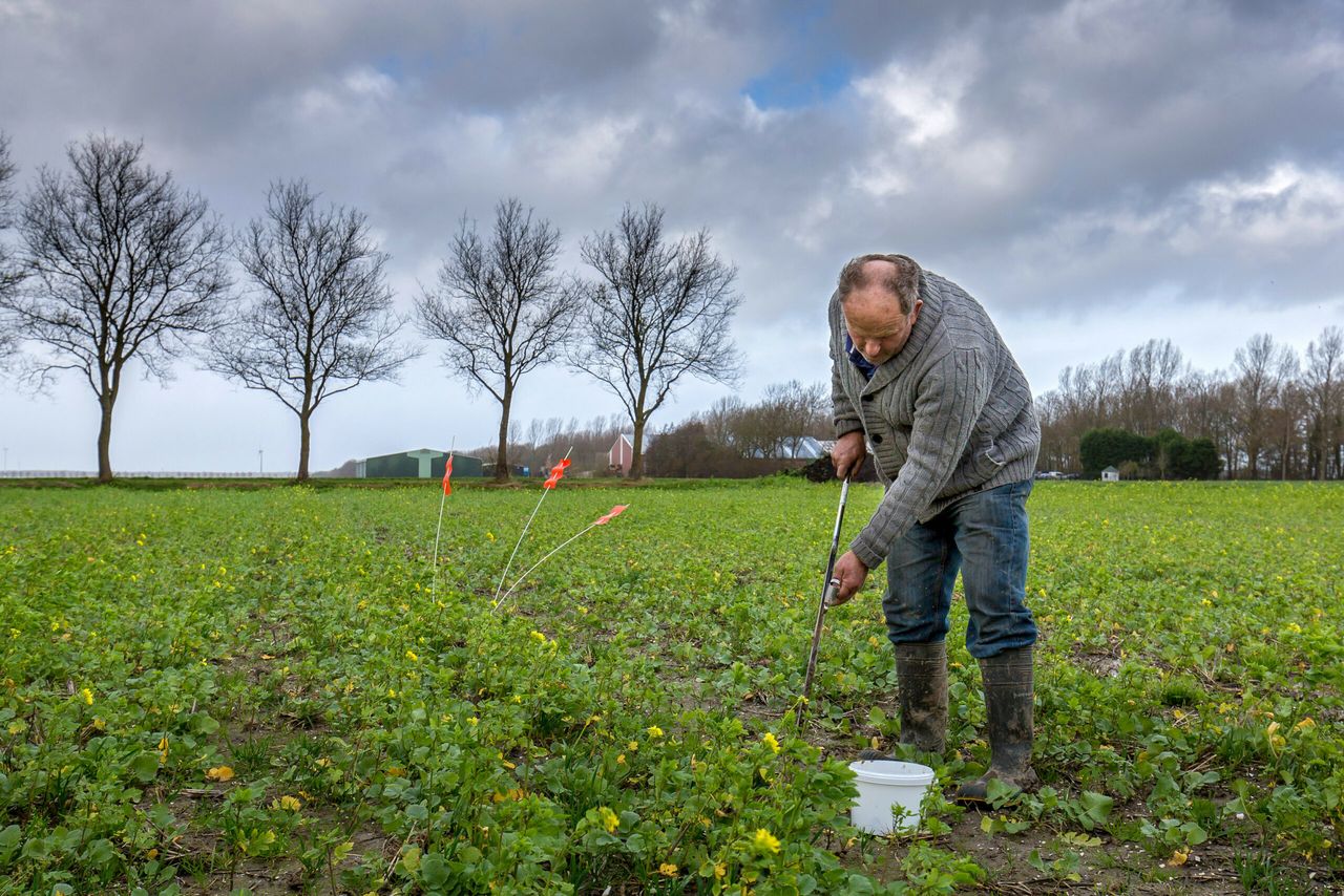 Foto: Klaas Norg