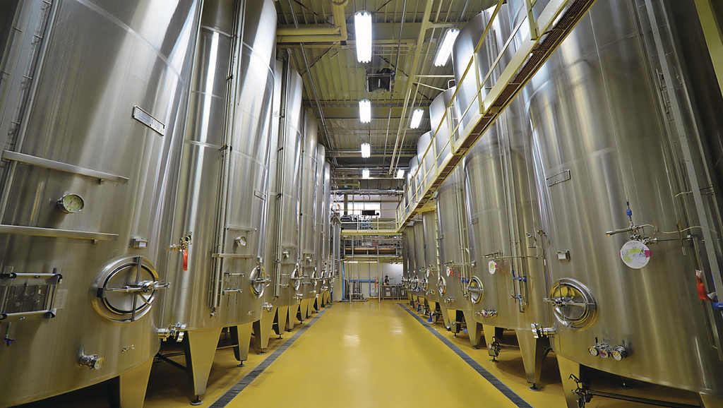 De EU wil start-ups ondersteunen in het opschalen van fermentatietechnologieën. Foto: Afbeelding met AI gegenereerd (Reve.art)