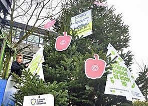 Bionext bood het Octrooibureau in Rijswijk een kerstboom aan met door patentering bedreigde groenten. - Foto: Bionext