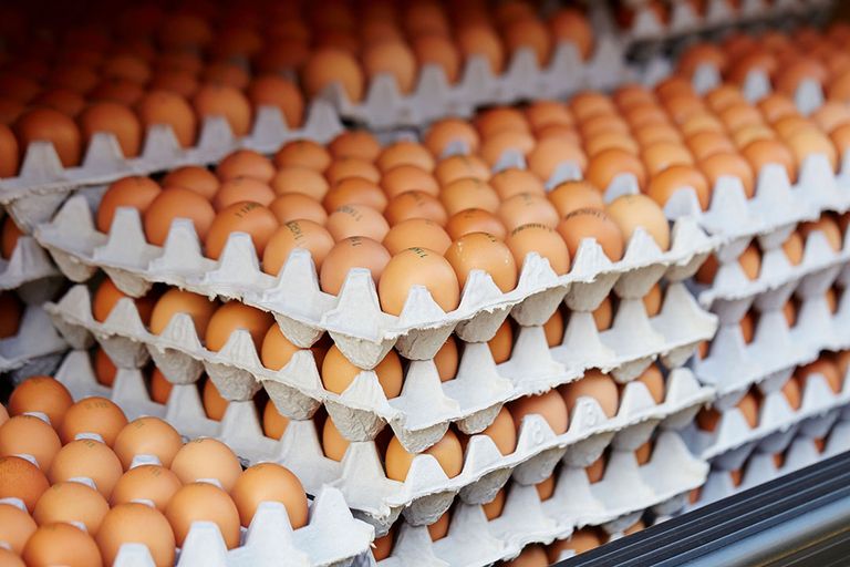 Eieren blijven een zorgenkind, met name door de steeds hogere productiekosten. Groupe Avril probeert zijn eierbedrijf Matines, de grootste van Frankrijk, al enige tijd te verkopen. Foto: Canva