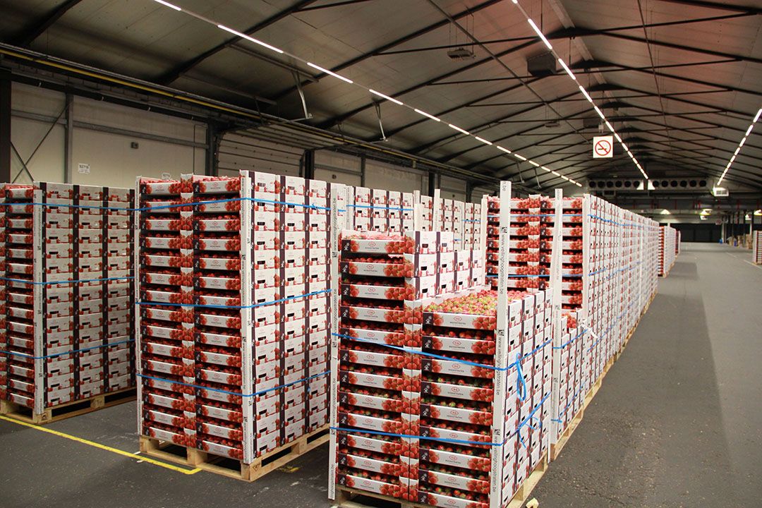 Markt: dagprijzen aardbeien zakken weg