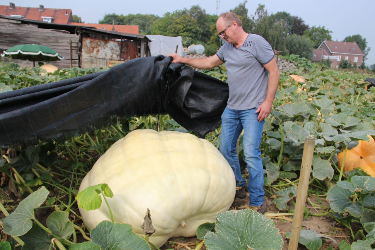 Foto's: Guus Queisen