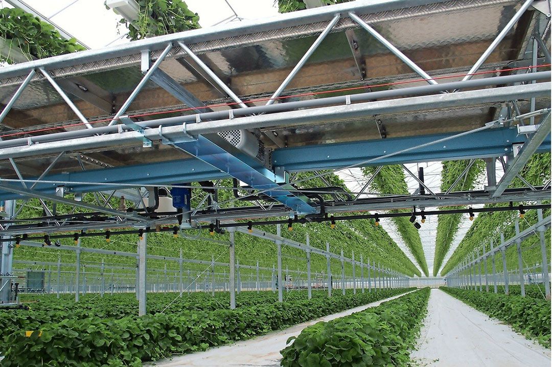 Nieuwe kas Flevoplant. Foto: Misset