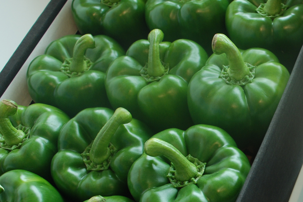 Marktupdate 12 sept: Stabilisatie na prijsdaling groene paprika