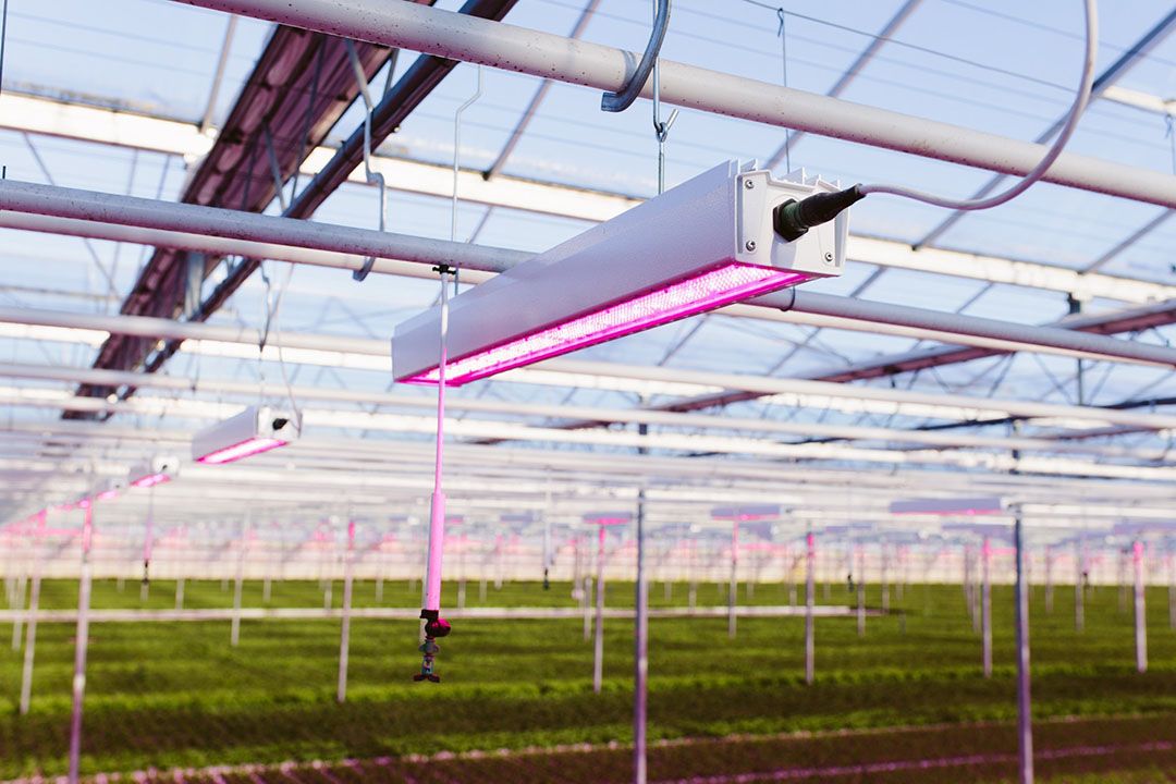 Goeilichtarmatuur Hortiled Top 120v19 van Hortilux is genomineerd voor de GreenTech Sustainability Award. - Foto: Hortilux