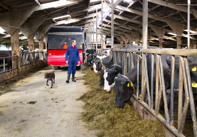 De JOLA-regeling is voor jonge boeren die vlak voor of na bedrijfsovername een steun in de rug kunnen gebruiken bij modernisering van hun bedrijf.</p> <p><em>Foto: Ruud Ploeg</em>