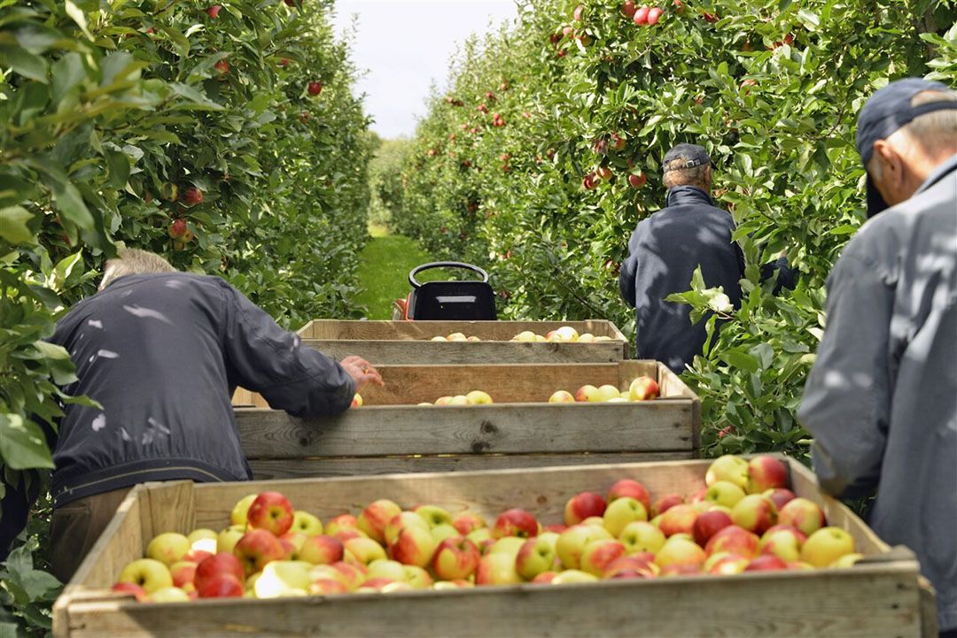 nieuwe pensioenwet tuinbouw