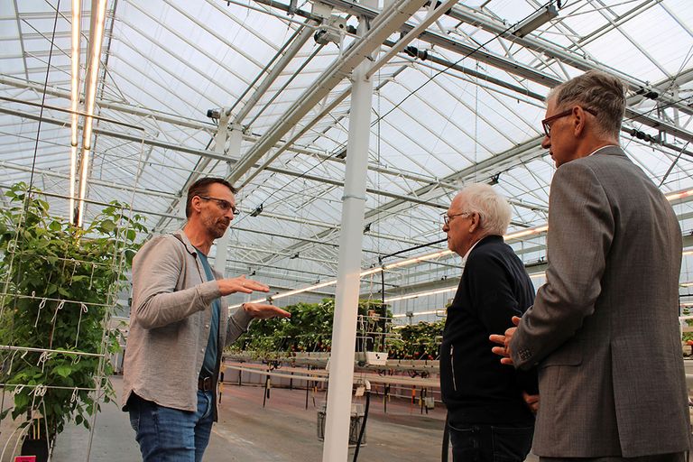 Minister Adema en voorzitter Michiel van Ginkel van de Tuinbouwondernemersprijs bezochten het bedrijf van Peter van der Avoird (links). - Foto's: Ton van der Scheer