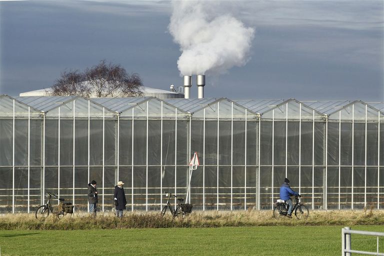 In de glastuinbouw waren energiekosten in 2019 ruim 15% van de omzet en 113% van het resultaat. Een verdubbeling van de energiekosten zou vrijwel het gehele resultaat laten verdampen. - Foto: ANP