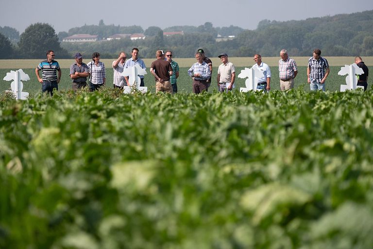 Dit beeld van grote rondleidingen is voorlopig niet toegestaan. Foto: Twan Wiermans.