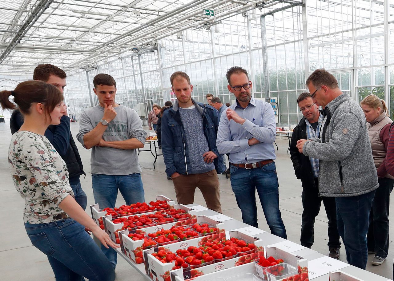 Proefcentrum Hoogstraten is een van de deelnemers aan GLITCH. -foto: G&F