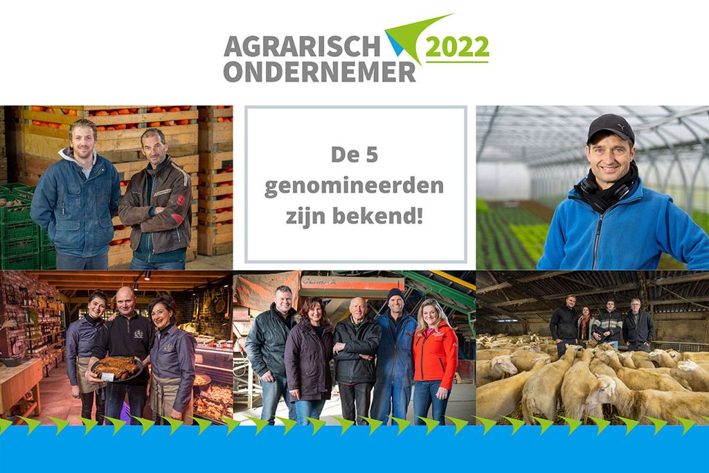Dit zijn de vijf genomineerden voor Agrarisch Ondernemer 2022, van linksboven met de klok mee: Zonnegoed, Kievit, Vleesboerderij Savelkouls, Beemster Valery en De Zeekraal. - Foto: Misset