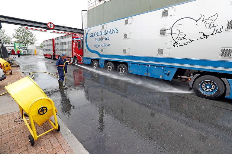 Tijdens het hitteprotocol in 2017 werden bij Vion de wagens met dieren gekoeld met ventilatoren en werd het wegdek nat gemaakt, dat zorgt eveneens voor verkoeling. - Foto: Bert Jansen