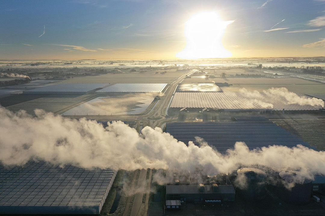 Tuinbouw vreest verwatering steunpakket en schade aan bedrijven. Foto: VidiPhoto