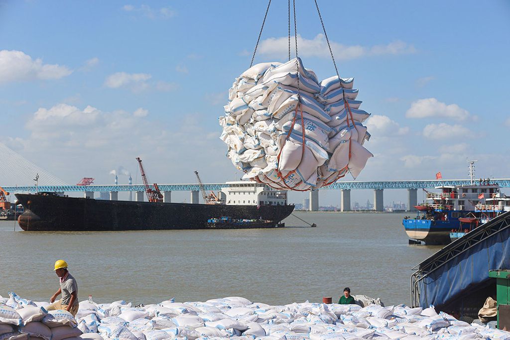 Chinese werknemers lossen een vracht sojabonen. - Foto: ANP