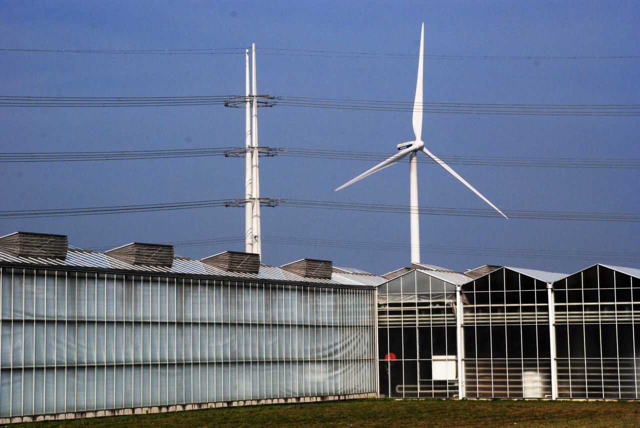 Kassen worden van producent tot consument van elektriciteit. - Foto: Groenten&Fruit