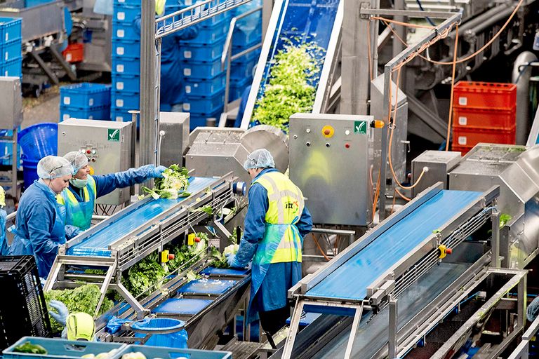 Werkzaamheden bij een leverancier van Albert Heijn.  - Foto: ANP